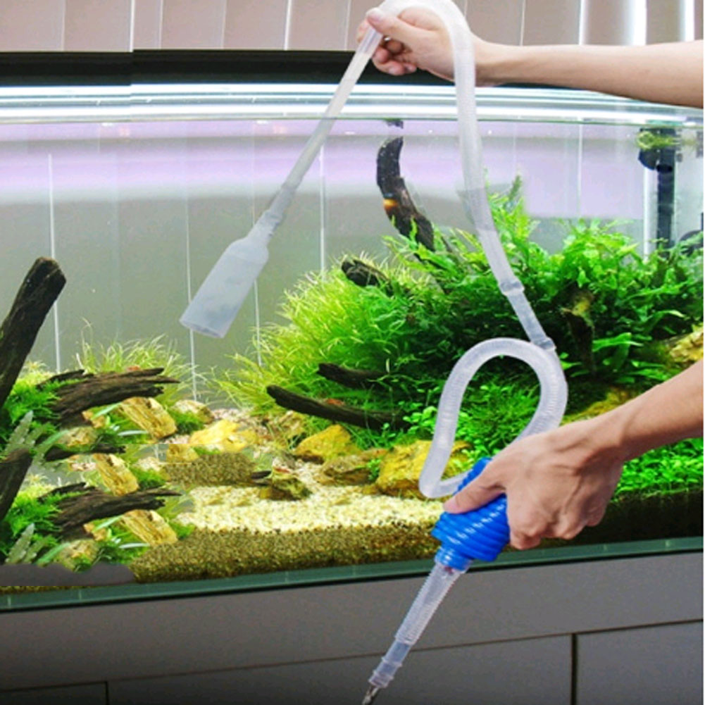 aquarium-water-change