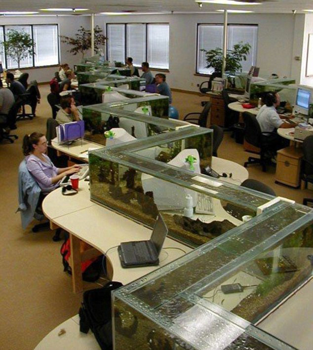 office-aquarium